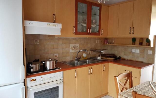 Nineta's House Sea View near the Airport