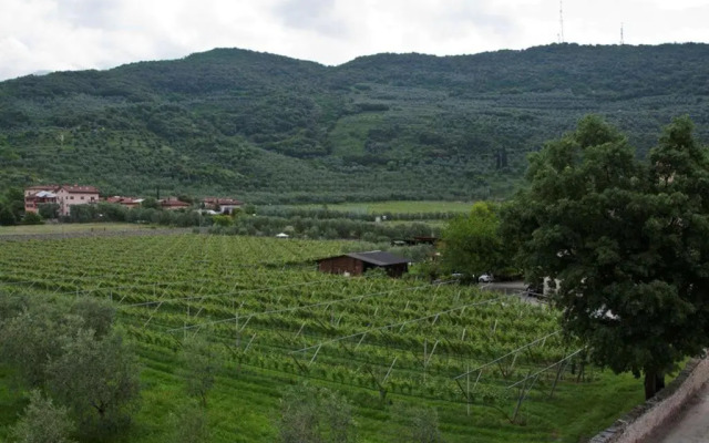 Appartamento Betulla