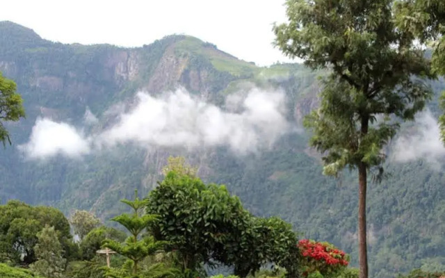 Teanest – Nature Resorts, Coonoor