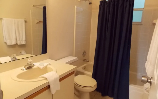 Florida Vacations 365