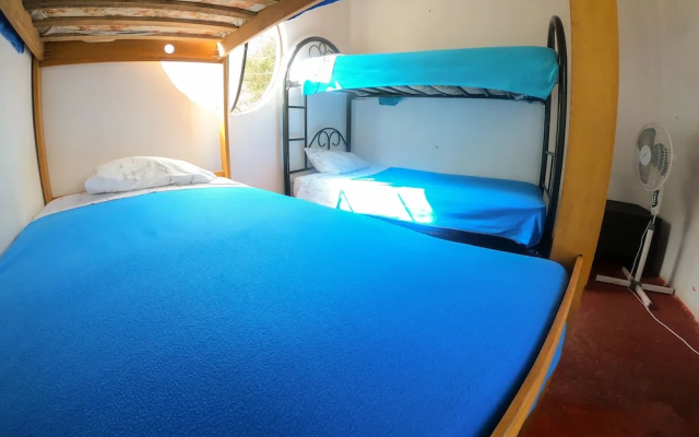 Hostel Mr. Llama