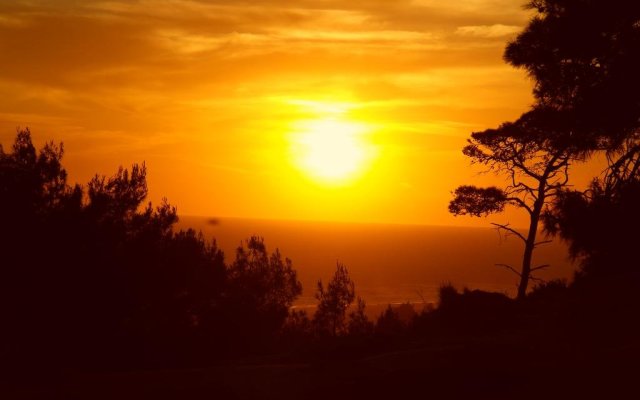 Sunrise Bungalows