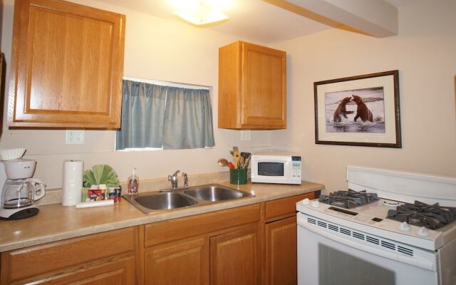 Grizzly Bear - Fox 'n Bear