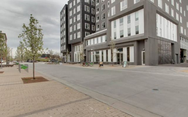 Stay Alfred at The Fowler