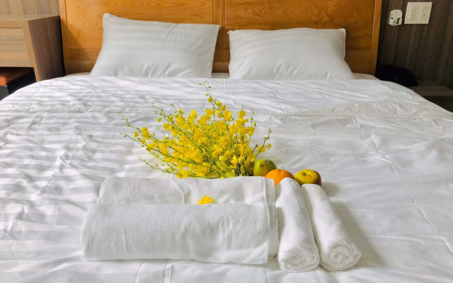 Nhat Thu Hotel & Apartment