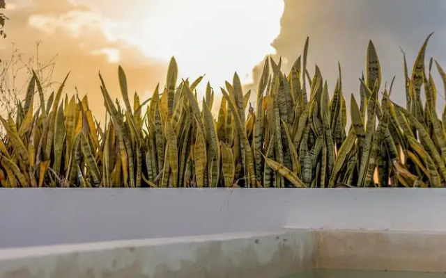 Exclusive 5th Ave Apt with Private Pool