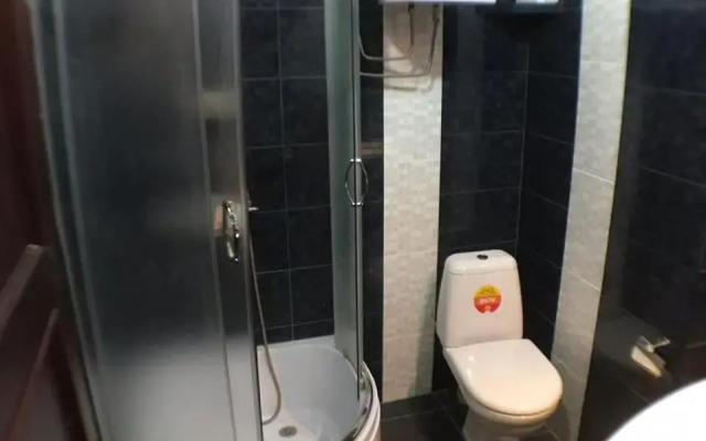 Bakuriani Hills Apartment