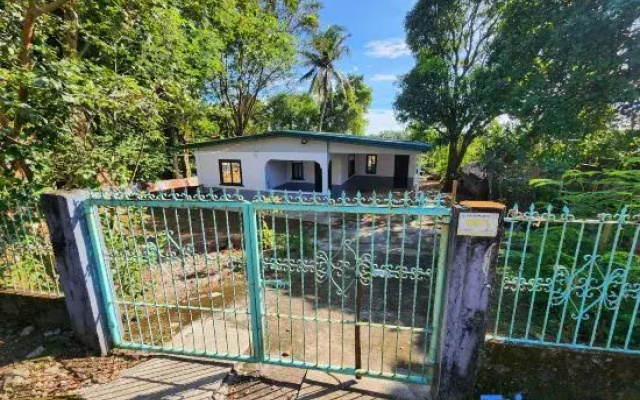Papa's Rental House