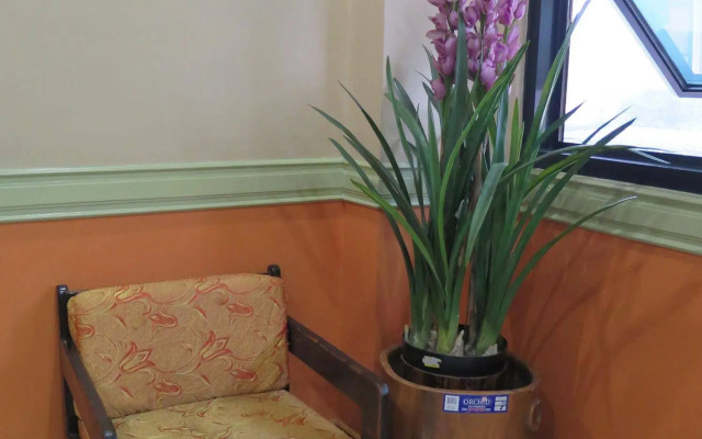 Cebu Northwinds Hotel