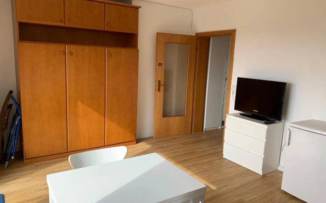 Gemütliche Ferienwohnung Harz Braunlage Hohegeiß