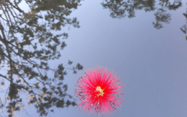 Pousada Arara Valença - RJ