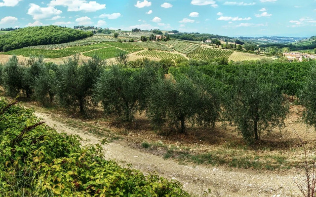 Villa Ademollo with Pool in Chianti Hills