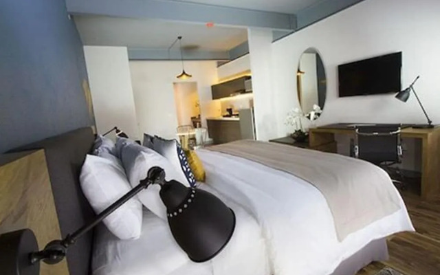 TRYP by Wyndham San Luis Potosi