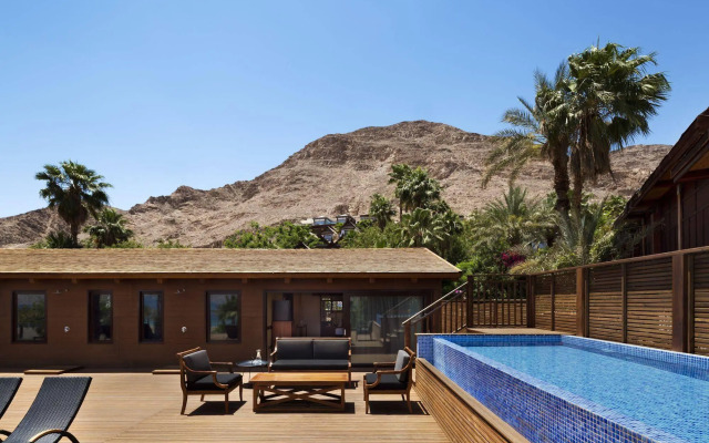Orchid Eilat