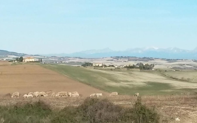 Agriturismo Gesseta