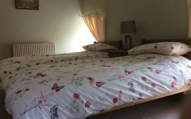 Afon Duad Inn