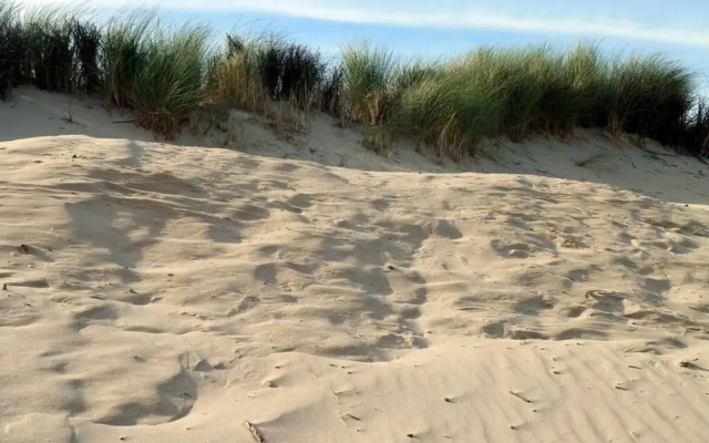 Borkum Ideal 71 A Comfortable Holiday Residence