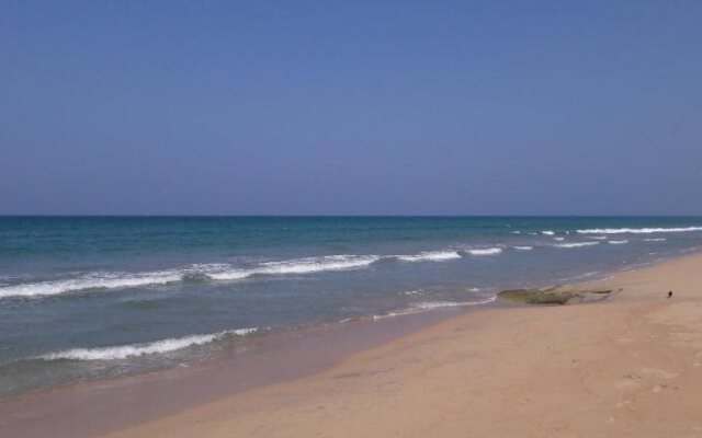 Blue Whale Nilaveli