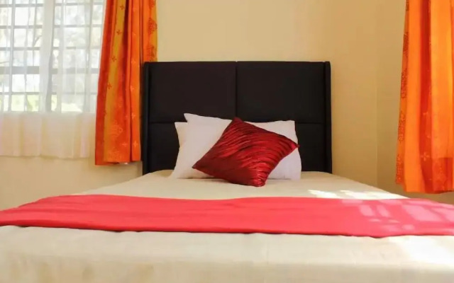 The Serene Apartment