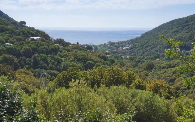 Cap Corse Uribellinu 2