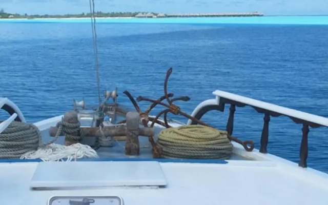 Flying Fish