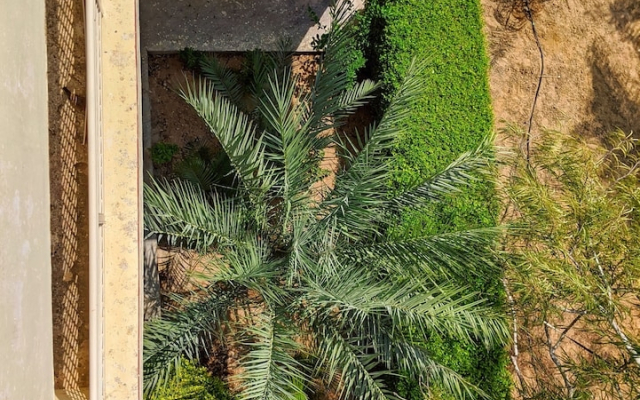 Nurture by Madpackers