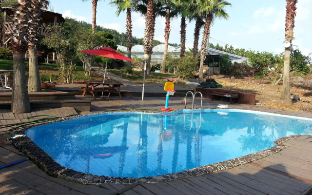 Palace in the Forest Pension