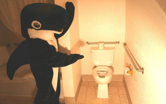 The Orca Inn