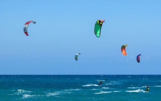 Funky Fish Beach & Surf Resort - Hostel