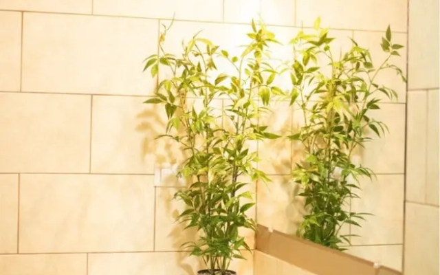 Cabañita Villa de Ada - фото 5