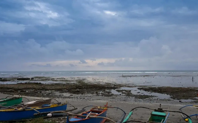 The Reef 077