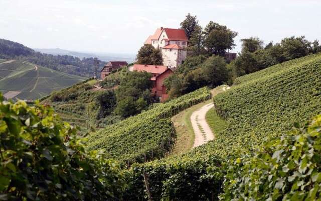 Apartment in Oberkirch