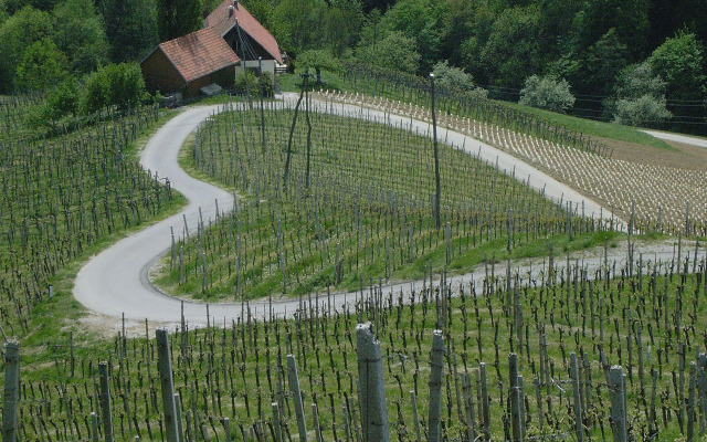 Weingut Primus - Südsteiermark