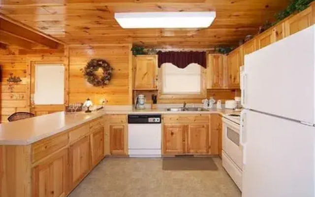 Buddy Bear 249 by Aunt Bug's Cabin Rentals