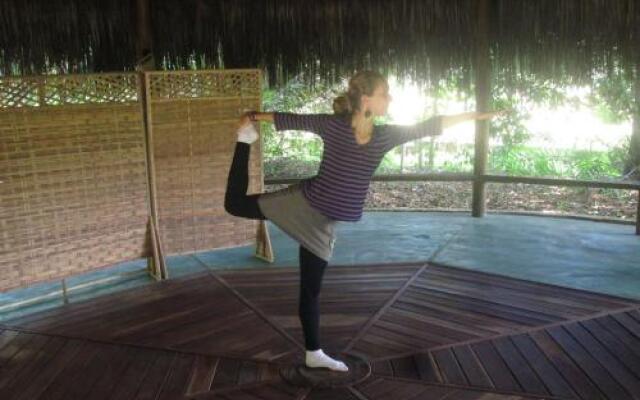 Nature Retreat with Healing Dogs in Brazil