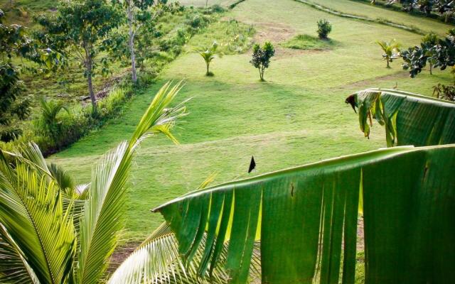 Maya Siargao Villa and Golf