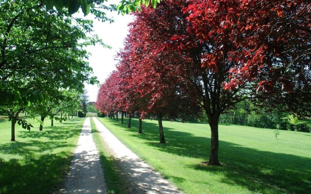 La Chartreuse du Bignac