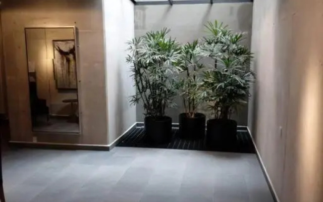 New Beautiful apartment near Reforma