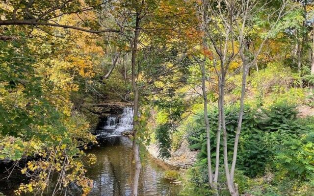 The Fallviews at Burdett Falls