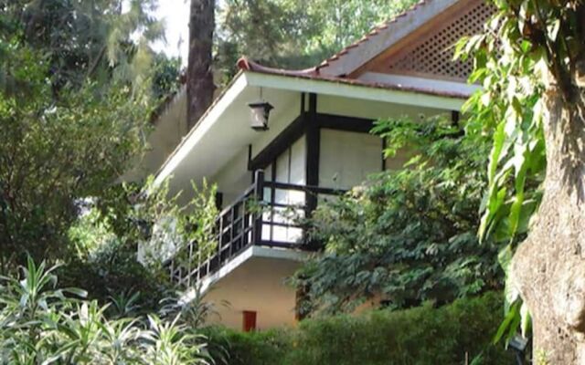 Hotel Jacarandas