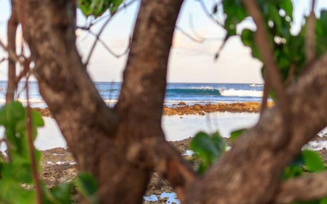 Just Surf and Dive Villa
