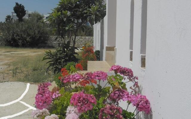 Studios Parian Blu
