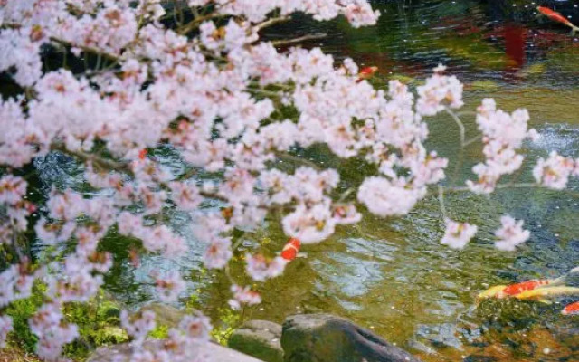 Oukai Villa Izumi