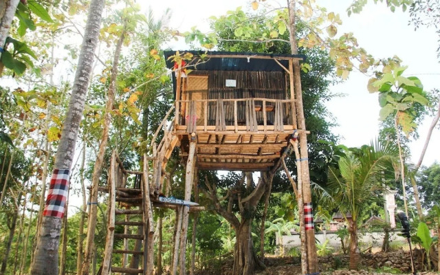 Nyuh Bengkok Tree House