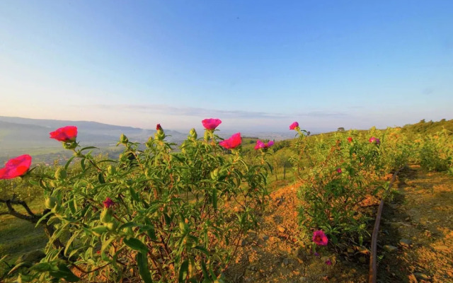 Villa in Mammi With Pool Near Florence