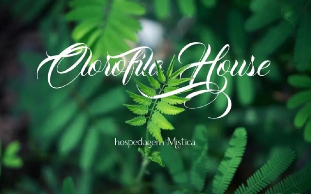 Suite Clorofila House Guest House
