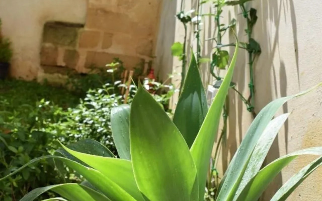 Loft Le Vie Del Centro