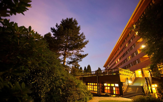 Disney Sequoia Lodge