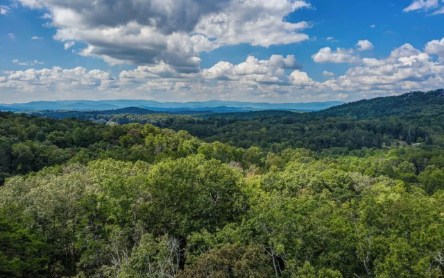 Gorgeous & Secluded 3 BDR Cabin in Mineral Bluff!