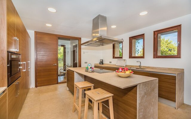 NEW 2020 - Empaltada